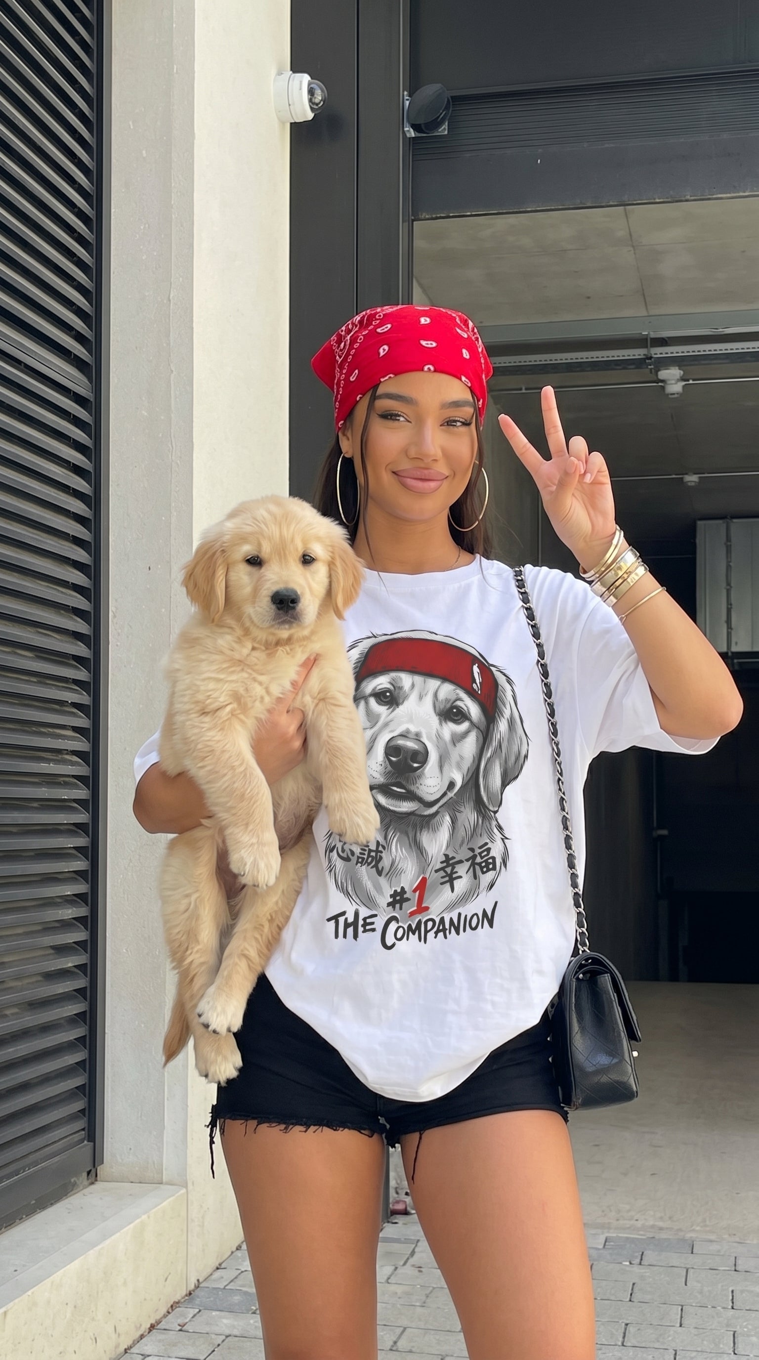 The Companion